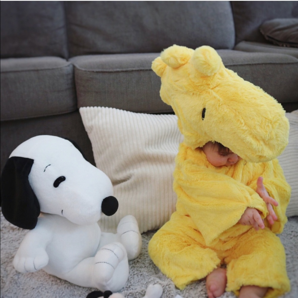 Baby Woodstock Halloween Costume 6-12 months